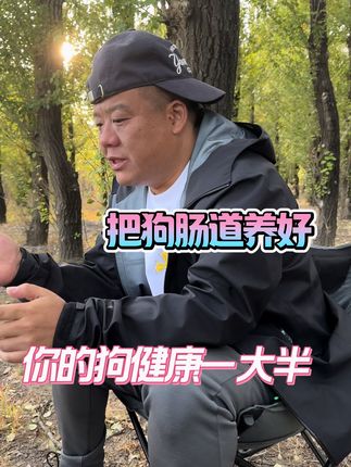 把狗肠道养好 你的狗健康一大半