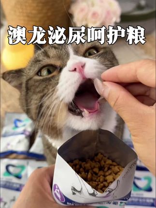 贵贵的泌尿粮也有活动了!!三块九到手三包!#澳龙泌尿呵护粮 #猫咪不喝水 #科学养宠攻略 #萌宠好物