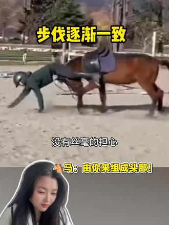 两条腿的人好找,六条腿的马太难找了