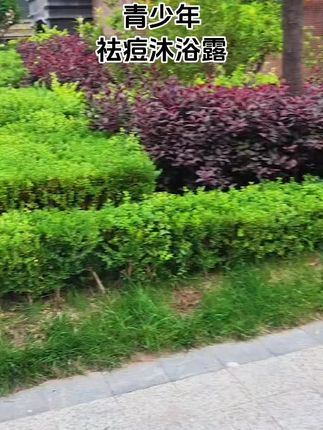 #自用好物推荐#青少年沐浴露#学生党沐浴露推荐袋鼠妈妈