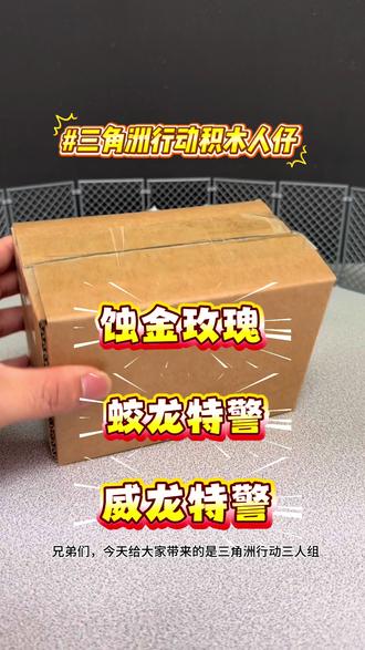 乐高三角洲行动乐高人仔威龙特警积木人露娜凌霄戍卫干员红狼玩具人偶#三角洲行动 #积木 #六一儿童节礼物 #男孩玩具 #零号大坝