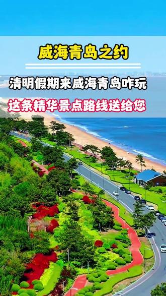 清明假期来威海青岛咋玩 这条精华景点路线送给您!#青岛 #威海 #青岛旅行 #旅行推荐官 #威海旅游攻略