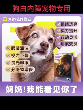 鑫安狗白内障宠物专用预防视力下降老年猫狗眼睛浑浊分泌物#狗狗白内障 #狗狗预防 #好物推荐🔥