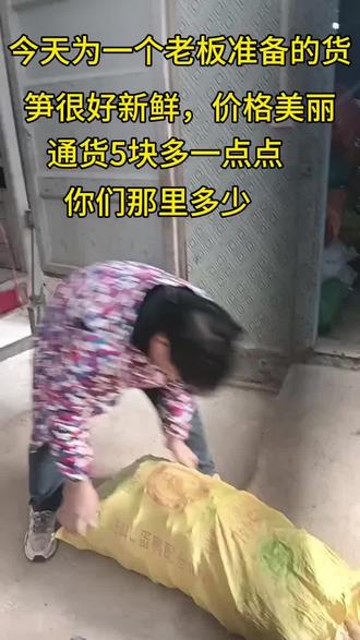 我在怀化靖州收冬笋####