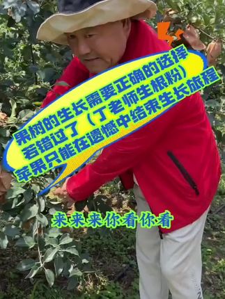 丁老师生根粉生根壮苗促进根系发育弱树变强#生根粉 #生根粉的妙用