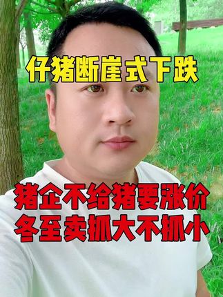 仔猪价格断崖式下跌 猪企想要抬高仔猪价格,一哥已经不给仔猪了!#养猪人加油干 #仔猪 #仔猪价格 #三农养殖 #养猪