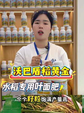 沃巴盾厂家直销#水稻种植#稻黄金 #水稻管理 #水稻叶面肥