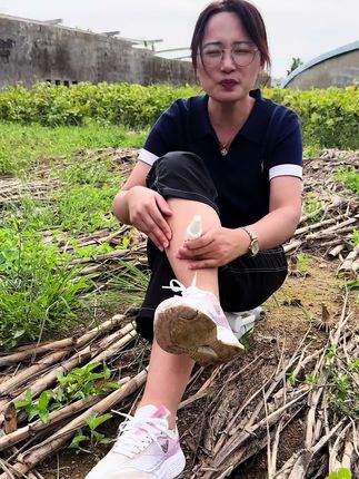 自用推荐,真的很好,可试用,放心拍