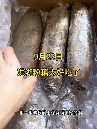 连续吃了三天藕汤,孩子居然不腻,它炖汤是真的好喝。#洪湖莲藕 #炖汤好食材 #平潭阿姨陈一