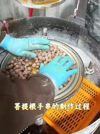 #菩提根