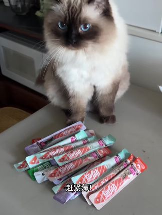 赶紧薅!#猫咪美食 #猫条推荐 #猫条