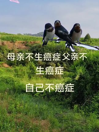 #神奇动物在抖音 #爱护大自然保护野生动物 #原创视频