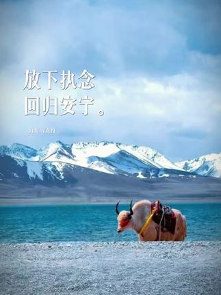 放下执念,才能,回归安宁。#执念 #回归 #安宁