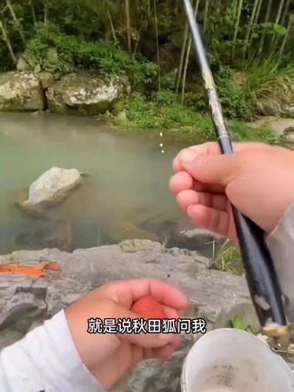 半日闲溪流钓线组三粒漂石斑线组手工免调铅急流溪哥马口长条鱼线#半日闲溪流钓线组#三粒漂石斑线组#手工免调铅#急流溪哥马口长条鱼线