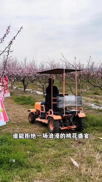 义乌春田花花3.20桃花节来袭,一票畅玩赏花、演艺、网红打卡与趣味互动#义乌春田花花 #请你看花 #抖音带你去看花 #踏春赏花 #亲子游玩好去处