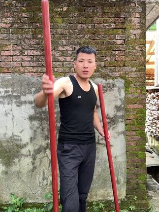 槐木柄拍一发两根,只要九块八#锄头柄 #槐木杆
