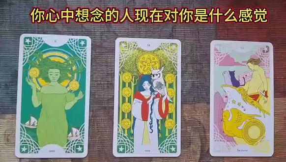 你想念的人现在对你的感觉#塔罗测试 #情感
