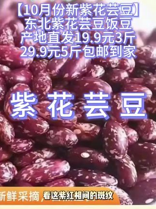 #我要上热门 #紫花芸豆#配米饭#做馒头馅#大自然的馈赠@DOU+小助手
