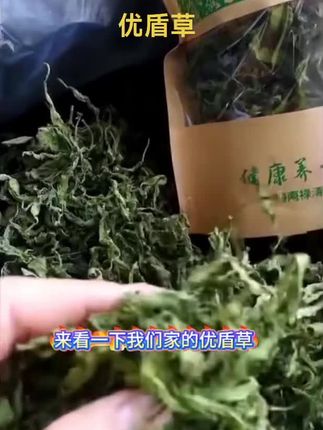 黎宝海南五指山忧遁草忧遁草叶50g高山原生态优质优盾草手工正宗