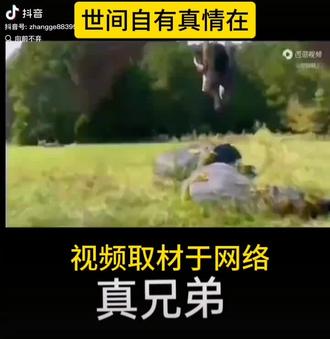 世间自有真情在,永不放弃,欢迎点赞