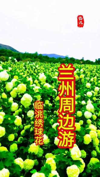 特价不常有
快带上心爱的人
奔赴这场夏日限定的浪漫之约吧
关注我,下期更精彩!