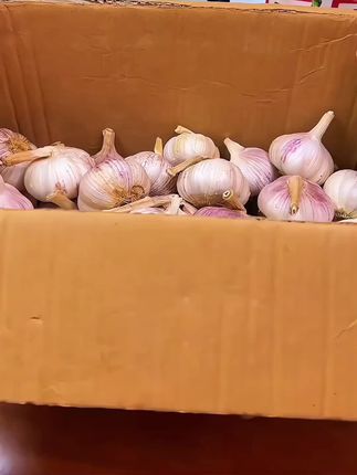 大蒜才这个价,家里每天都要吃的大蒜,可以多备一些。#大蒜
