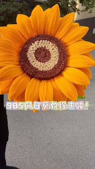 985向日葵教程来喽!