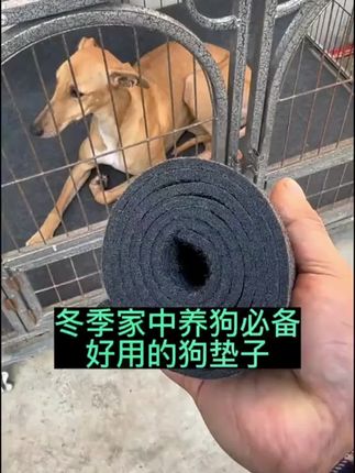 天气逐渐转凉家中养狗必备好用的狗垫子##养狗经验分享 #新手养狗 #养狗人 #狗笼子 #宠物用品