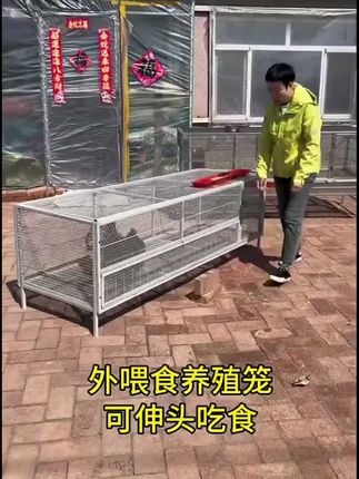 鸡笼子家用鸭鹅兔养殖加厚加密防鼠笼网片鸡笼兔子笼鸽笼户外大号