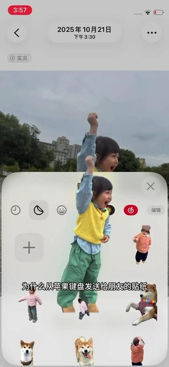 苹果贴纸到底怎么在微信使用呢
#苹果实况 #苹果实况照片 #微信 #表情包 #livephoto