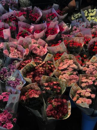 某人 见面 带花 听见没. #花