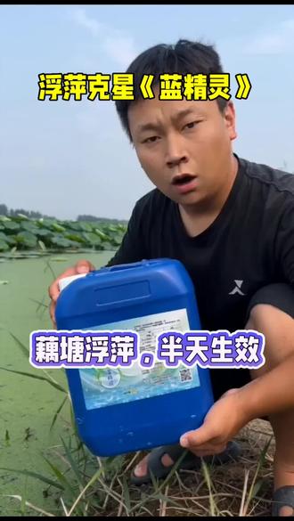 浮萍的克星蓝精灵,藕塘,鱼塘都能用#池塘调水 #藕塘浮萍 #浮萍治理