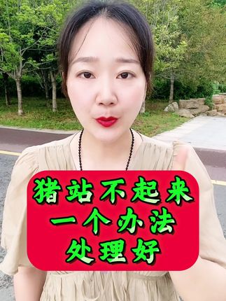 猪站不起来一个办法处理好 #养猪 #养猪人 #养猪不容易 #养猪人加油干 #猪腿瘸 猪站不起来一个办法处理好