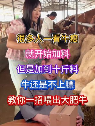#养牛人 #养牛技术 #牛拉稀过料粪便不成型 #犊牛拉稀 #牛拉稀过料