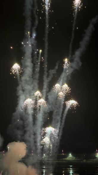 水母大队来袭#烟花秀 #创意烟花