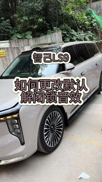 智己LS9用车小知识第42期
如果更改解闭锁音效?
#智己LS9 #每天一个用车知识 #汽车知识分享 #用车知识 #厉害了我的车