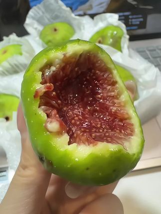 这威海青皮无花果没白等!一口下去直接爆蜜!就跟捅了蜂蜜窝一样!巨甜巨好吃!#威海青皮无花果 #应季新鲜水果 #现摘现发新鲜到家