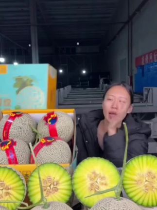 【精选礼盒装】冰淇淋网纹蜜瓜玫珑蜜瓜静冈甜瓜新鲜