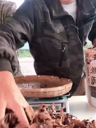 东北长白山榛蘑山上自采自晒干货无根小鸡炖蘑菇营养美味250克