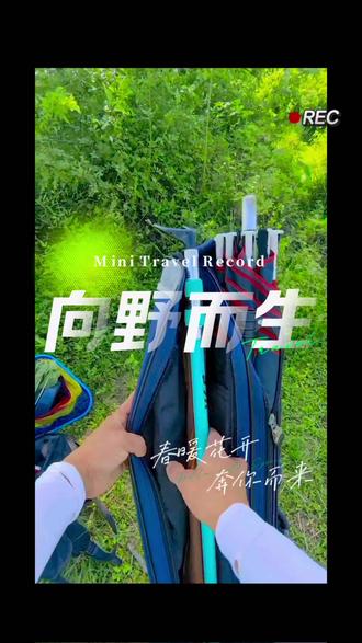 人生不过短暂三万天快乐一天是一天。 #夏日钓鱼技术大赏 #钓鱼实时视频分享 #夏季钓鱼