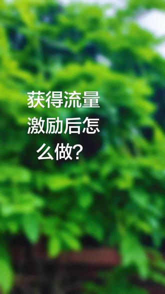 操作:1.查看激励详情:打开获激励视频,点击“作品获得激励”查看完整激励内容,了解具体奖励类型(如流量、现金、金豆等)及使用规则。2.利用流量激励:从激励页面直接发布同类作品,精准获取平台流量扶持;趁热打铁回复评论、置顶精彩评论,延长激励周期。3.处理奖励:现金奖励在“创作者服务中心”核对任务进度,关注消息中心通知并手动提现至绑定银行卡;金豆及时兑换团购券等,注意有效期;实物奖品保持收货信息准确,等待寄送。4.数据分析与内容复用:分析获激励作品的发布时机、标题、内容结构及评论热点,用于后续创作;将作品衍生为视频版、图解版等,打造内容矩阵。5.参与更多计划:进入“玩法达人中心”选择“玩法合伙人计划”,挑选任务拍摄发布,有机会获得现金激励或流量扶持。6.避免激励依赖:坚持创作有价值的内容,激励是放大器,持久影响力源于为用户提供价值。#抖音玩法合伙人#伙伴计划#原创作品#拍同款#抖音玩法合伙人计划