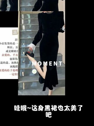 秋冬季新款时尚连衣裙女士韩版长袖修身气质百搭显瘦裙子Z1029