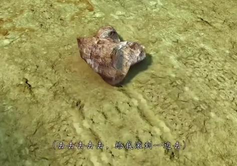 喜羊羊美羊羊懒羊羊沸羊羊