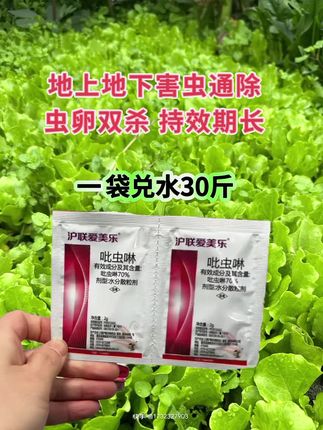 70%吡虫啉 #种植小技巧 #新农人计划 #三农小知识 #传播农业知识传播正能量 #农业植保知识分享