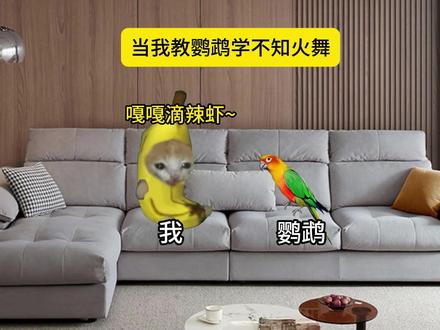 当我教鹦鹉学不知火舞!