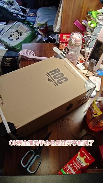 手办来了#迪达拉#手办#开箱vlog