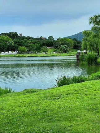 【黑标旗舰高货】惠庭极速电压力锅【试用30天】9H珐琅胆6L适合1~8人#好物推荐🔥 #电饭煲#电饭煲推荐 @DOU+小助手 @抖加🔥上热门🔥dou+🔥热点宝