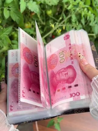 存钱真的是一个很治愈的过程,越存越上瘾,顾不上买衣服啥的,就一心想着存钱太上头了!#存钱妙招 #密码现金本 #人民币呀人民币 #存钱包 #无限回购的宝藏单品