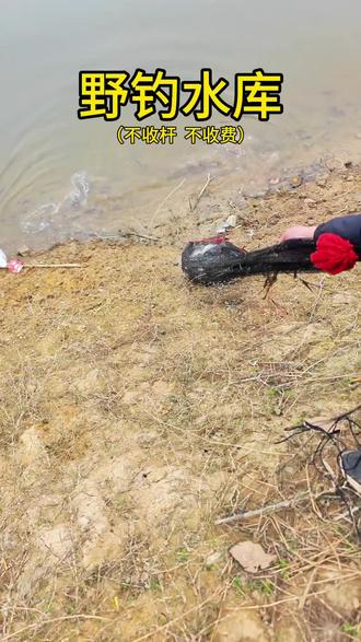 距离长寿城区只有 13 公里左右的一个位置!#钓点王 #钓友请就位 #野钓 #钓位分享 #钓位