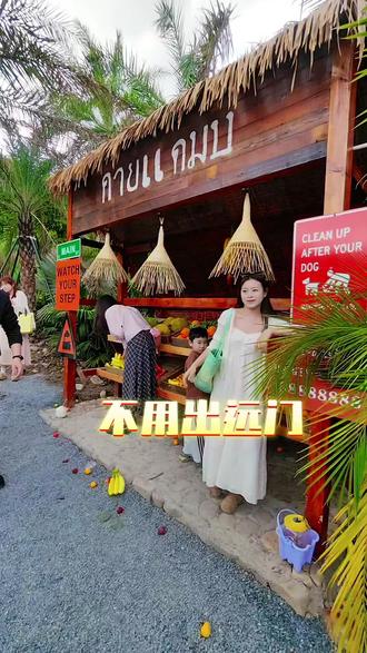 #泰尼尼.清迈小镇#宁波咖啡#网红打卡景点